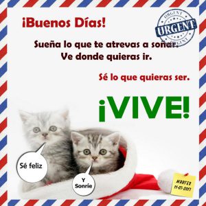 Buenos días cariño imágenes para celular