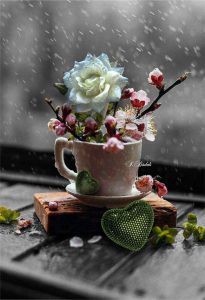 Buenos Dias Con Imagenes Hermosas Para Whatsapp