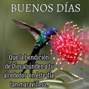 Buenos Dias Con Para Celular