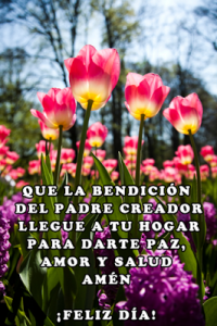 Buenos Dias De Amor Para Mi Novia Para Descargar