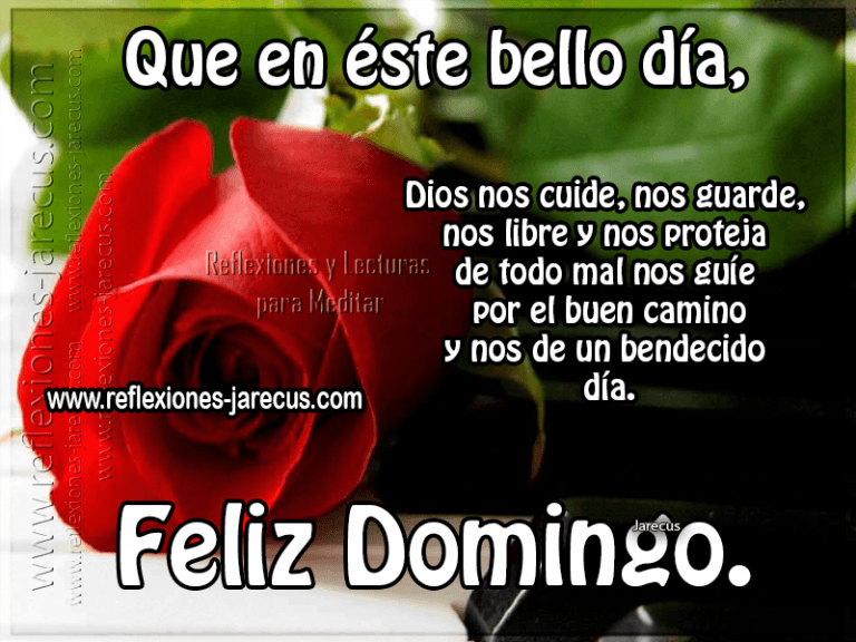 Buenos Dias Domingo Frases Para Celular
