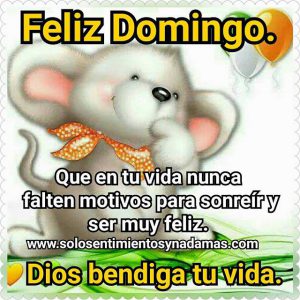 Buenos Dias Domingo Para Whatsapp