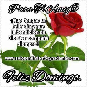 Buenos Dias En Domingo Para Whatsapp