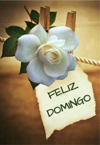 Buenos Dias Feliz Domingo Para Celular