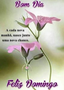 Buenos Dias Feliz Domingo Para Todos Para Celular