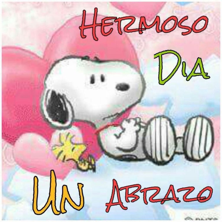 Buenos Dias Fotos Y Frases