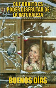 Buenos Dias Frases Bonitas Para Facebook