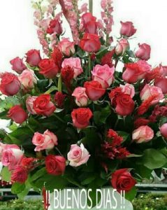 Buenos Dias Frases Lindas Para Una Amiga