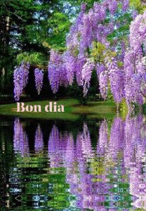 Buenos Dias Frases Para Una Amiga