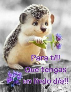 Buenos Dias Linda Para Mi Amor