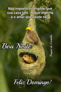 Buenos Dias Mi Amor Feliz Domingo Para Whatsapp