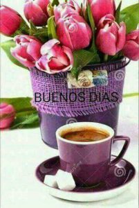 Buenos Dias Mi Amor Frases