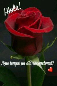 Buenos Dias Mi Amor Frases Cortas Para Facebook