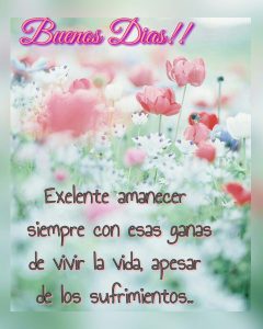 Buenos días mi amor frases lindas para celular