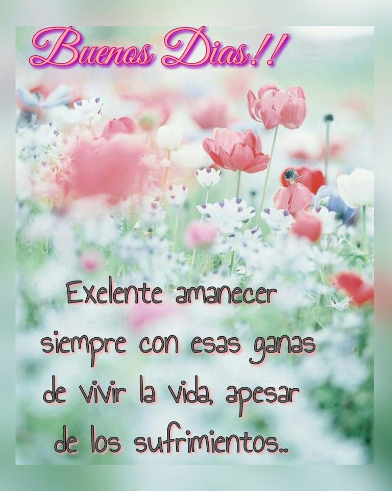 Buenos Dias Mi Amor Frases Lindas Para Celular