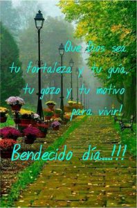 Buenos Dias Mi Amor Frases Para Facebook
