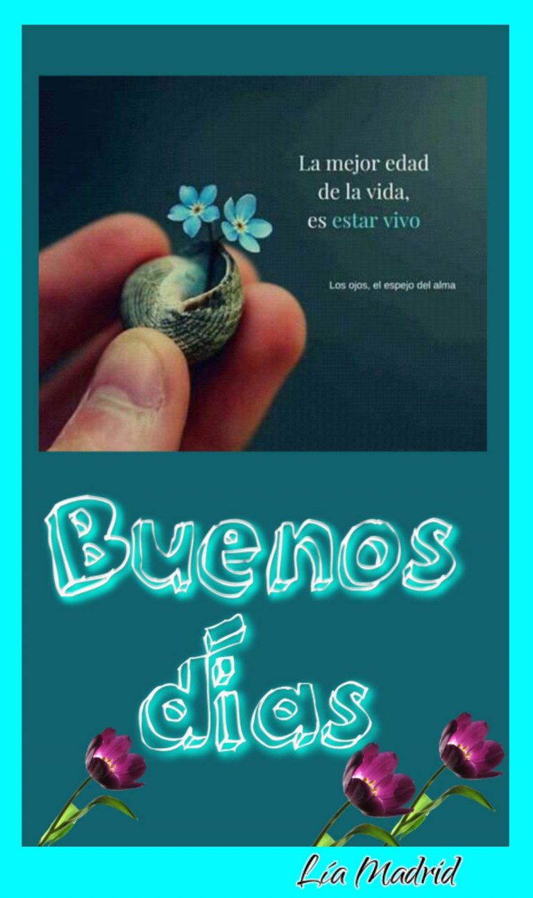 Buenos Dias Mi Amor Frases Para Mi Amor