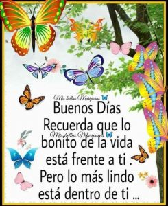 Buenos Dias Mi Amor Frases Para Una Amiga