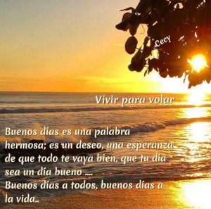 Buenos Dias Mi Amor Frases Para Whatsapp