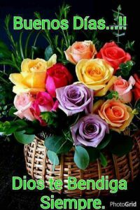 Buenos Dias Mi Amore