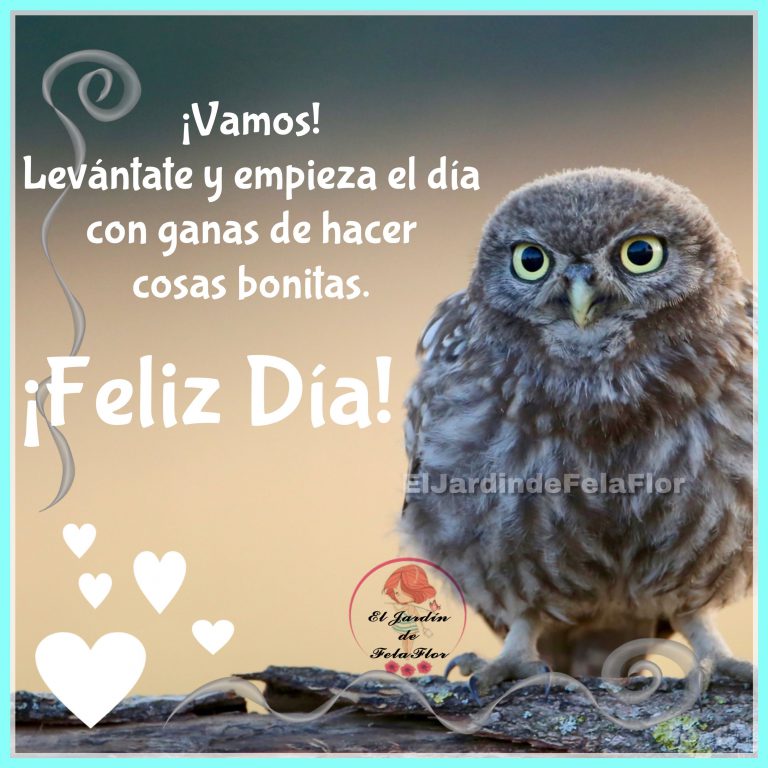 Buenos Dias Mi Bello Amor Para Descargar