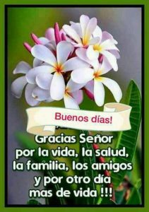 Buenos Dias Mi Novia