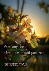 Buenos Dias Mi Novia Para Celular