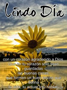 Buenos Dias Mi Princesa