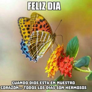 Buenos Dias Mi Vida Frases