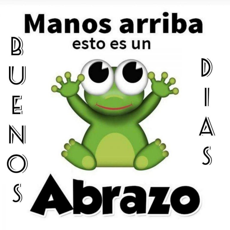 Buenos Dias Mi Vida Frases Para Celular