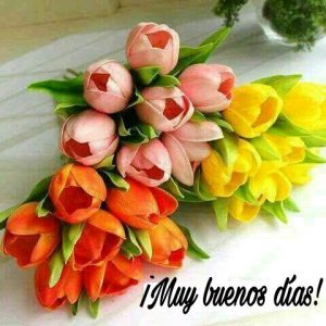 Buenos Dias Mi Vida Para Facebook