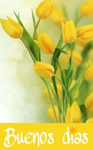 Buenos Dias Mi Vida Para Una Amiga