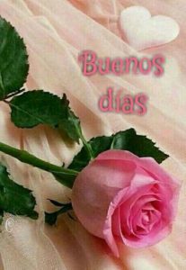 Buenos Dias Para Enamorar A Una Mujer Para Una Amiga