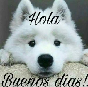 Buenos Dias Para La Mujer Mas Hermosa Para Facebook