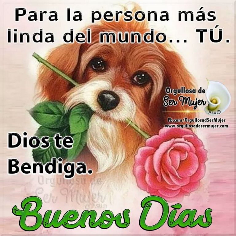 Buenos Dias Para La Mujer Mas Hermosa Para Whatsapp
