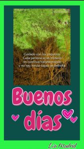 Buenos Dias Para Todos Buenos Dias Para Mi Para Mi Amor