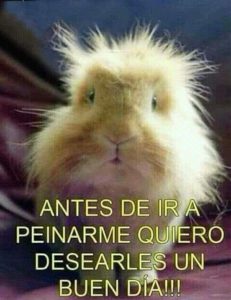 Buenos Dias Para Tu Amor Para Descargar