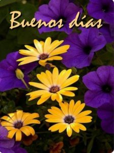 Buenos Dias Para Tu Novio Para Una Amiga