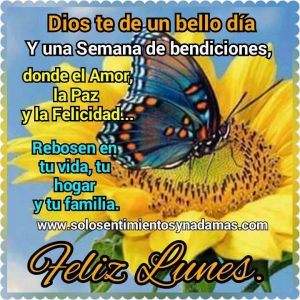 Buenos Dias Para Tu Pareja Para Celular