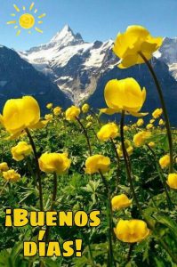 Buenos Dias Preciosa Imagenes Para Descargar