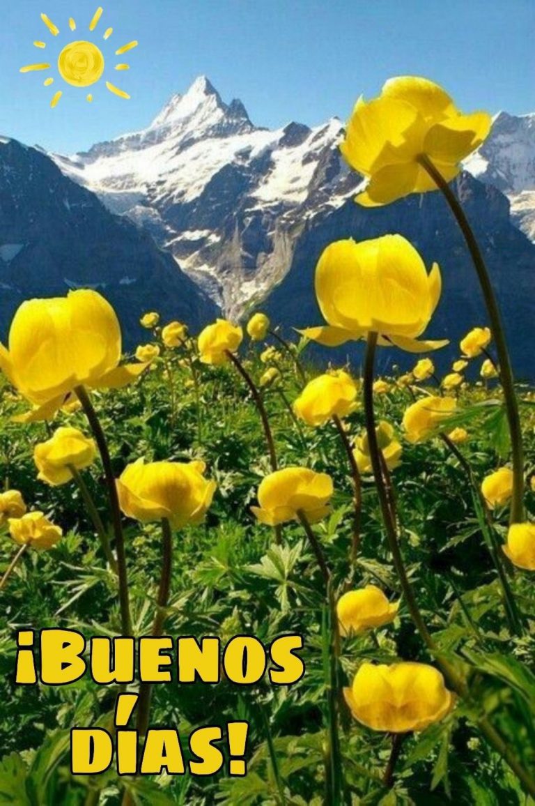 Buenos Dias Preciosa Imagenes Para Descargar