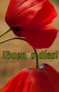 Buenos Dias Princesa Para Celular