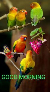 Buenos Dias Princesa Para Una Amiga