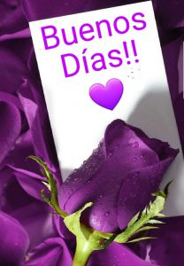 Buenos Dias Romanticos Frases