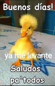 Buenos Dias Romanticos Frases Para Descargar