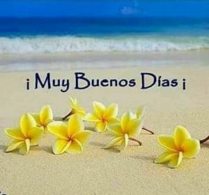 Buenos Mensajes De Buenos Dias