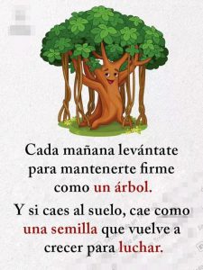 Buenos Mensajes De Buenos Dias Para Celular