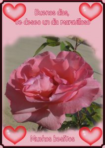 Buenos Mensajes De Buenos Dias Para Una Amiga