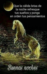 Buscar frases bonitas de buenas noches para celular