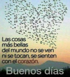 Buscar Frases Bonitas De Buenos Dias